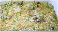 agave ferdinandi regis 